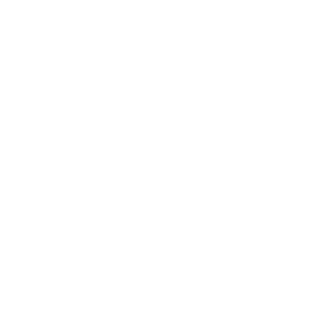 FL Concept Logo2